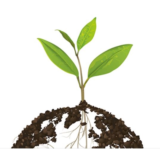 World Environment Day.